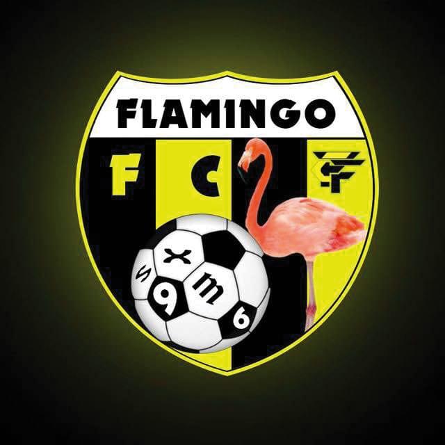 10-07-15-Flamingo