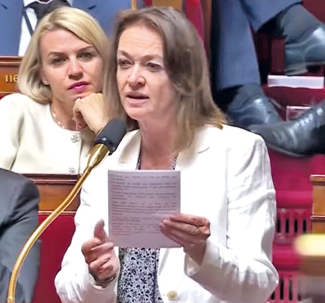 Politics An RN deputy proposes a large ministry for overseas France Faxinfo
